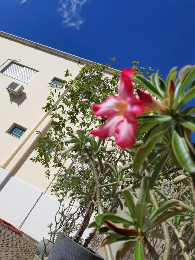 Hotel Executivo Araguaína エクステリア 写真